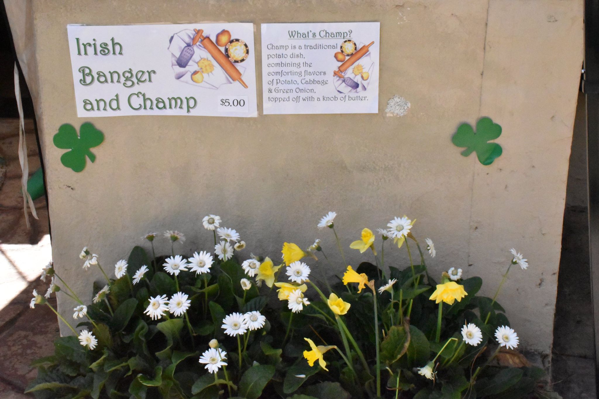 2016 Lawn Program